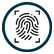 Fingerprint recognition - biometric security