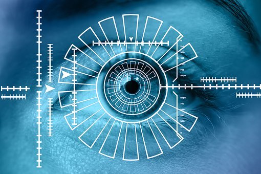 iris scanning biometric technology