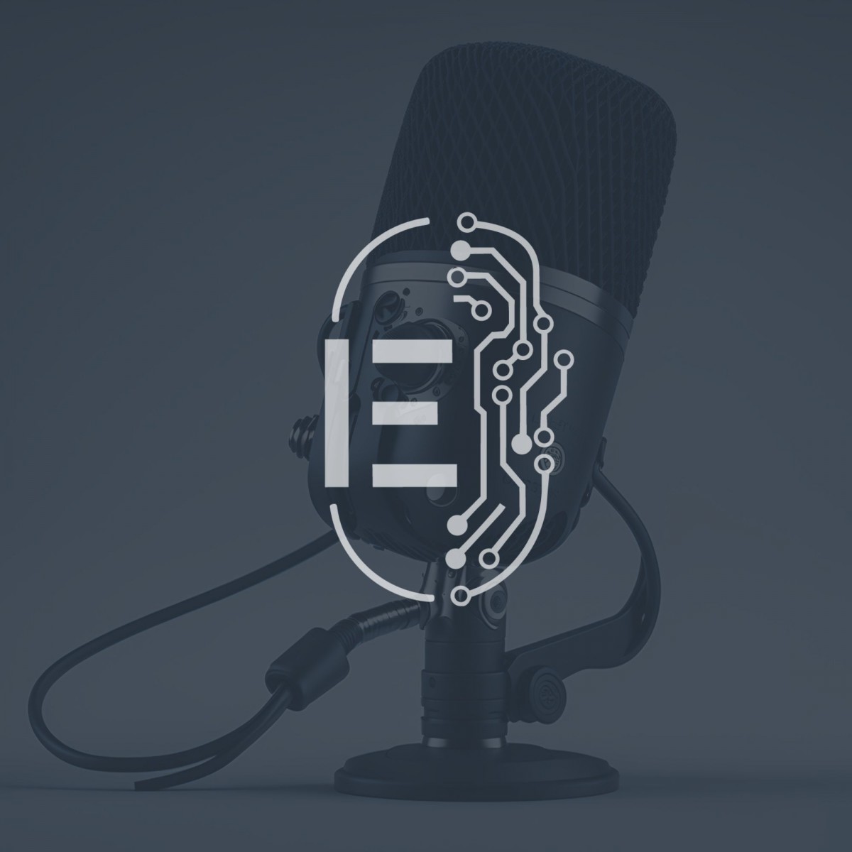IE podcast