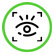 Iris recognition - biometric security