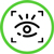 iris recognition
