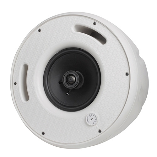 Suspended IP Speaker 80w 8ohms