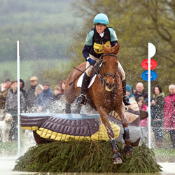 Badminton & Chatsworth Horse Trials project image 1
