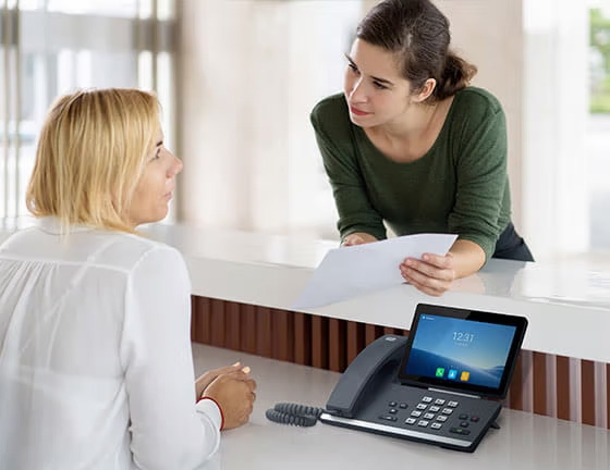 2N® IP Phone D7A