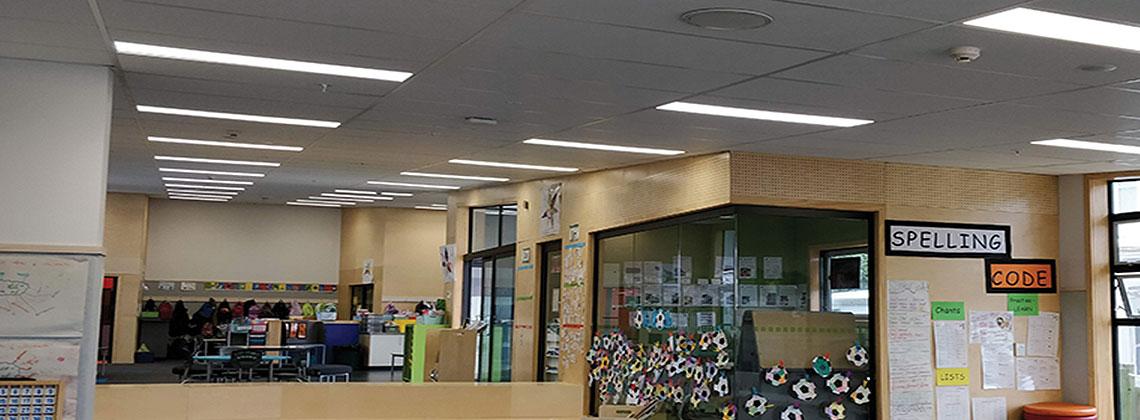 Thorndon Primary School project