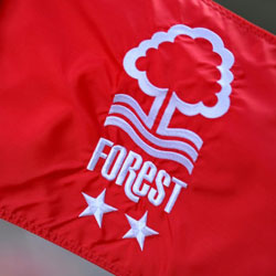 Nottingham Forest project image 1