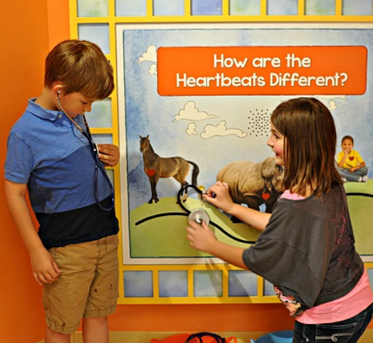 childrens museum - peoria playhouse