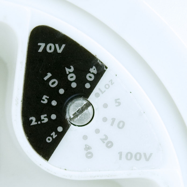40W 100v Suspended Pendant Speaker, White