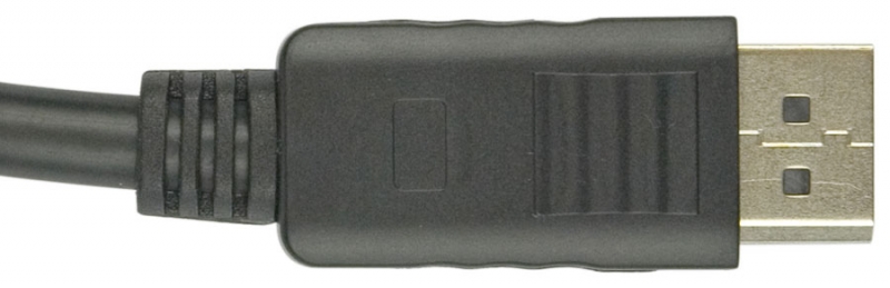 PREMIER DISPLAY PORT 2 MTR